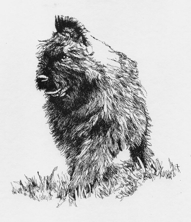 Bouvier Pup Drawing by Patrice Clarkson