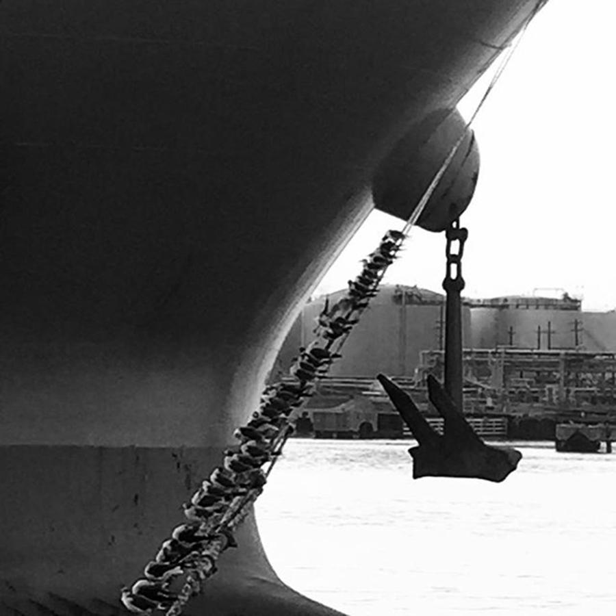 Black And White Photograph - Bow by Adam Graser