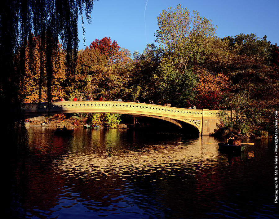 Bow Bridge Central Park Photograph by Mark Ivins
