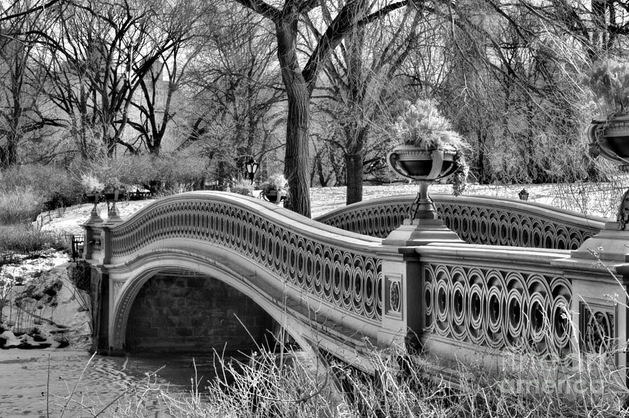 Bow Bridge in black and white  Photograph by Paul Ward