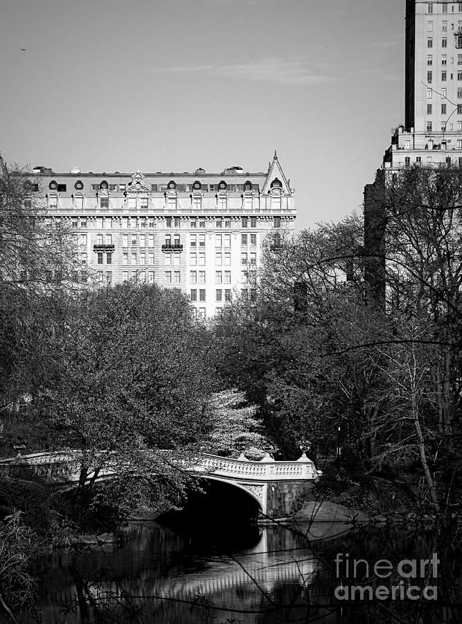 Bow Bridge in Central Park - BW Photograph by James Aiken