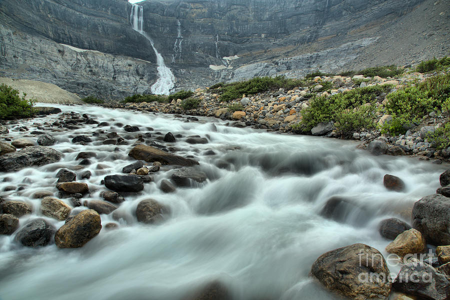 Bow Glacier Falls Creek Photograph by Adam Jewell