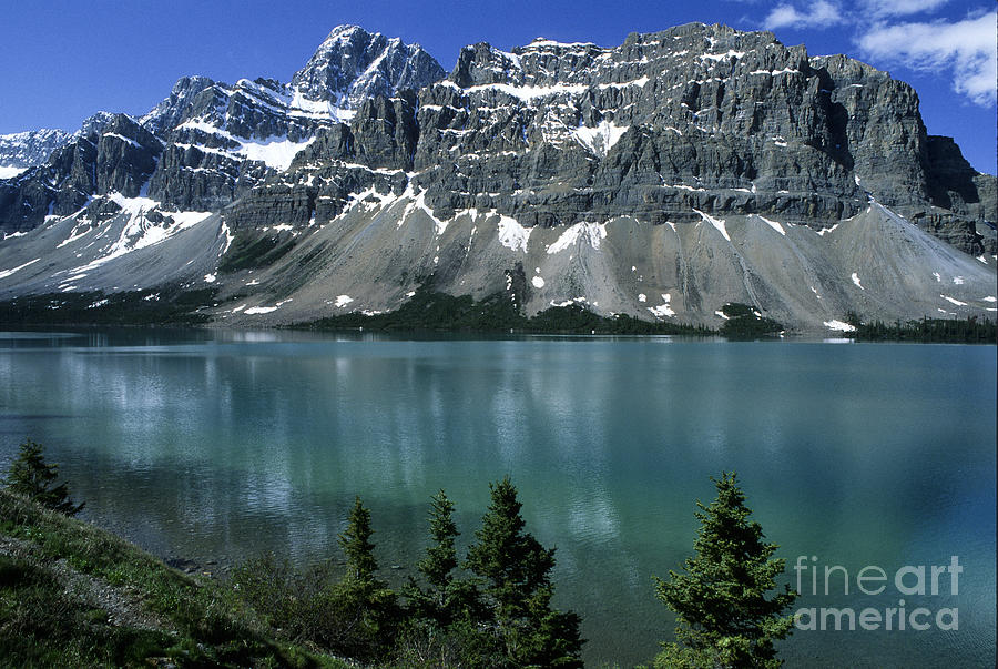 Bow Lake Area Photograph by Sandra Bronstein