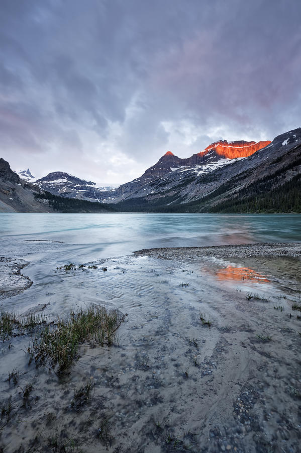 Bow Lake at Sunrise Photograph by Jon Glaser