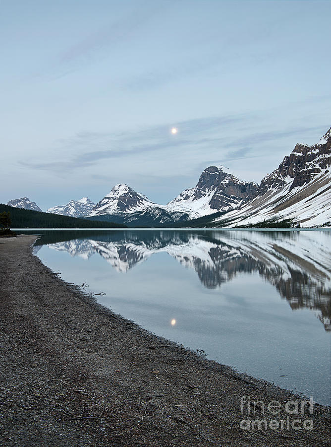 Bow Lake Blue Hour Photograph by Shannon Carson