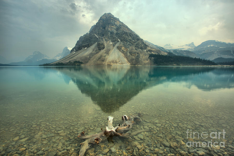 Bow Lake Driftwood Photograph by Adam Jewell