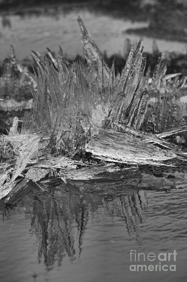 Bow Lake Ice Crystals Portrait Black And White Photograph by Adam Jewell