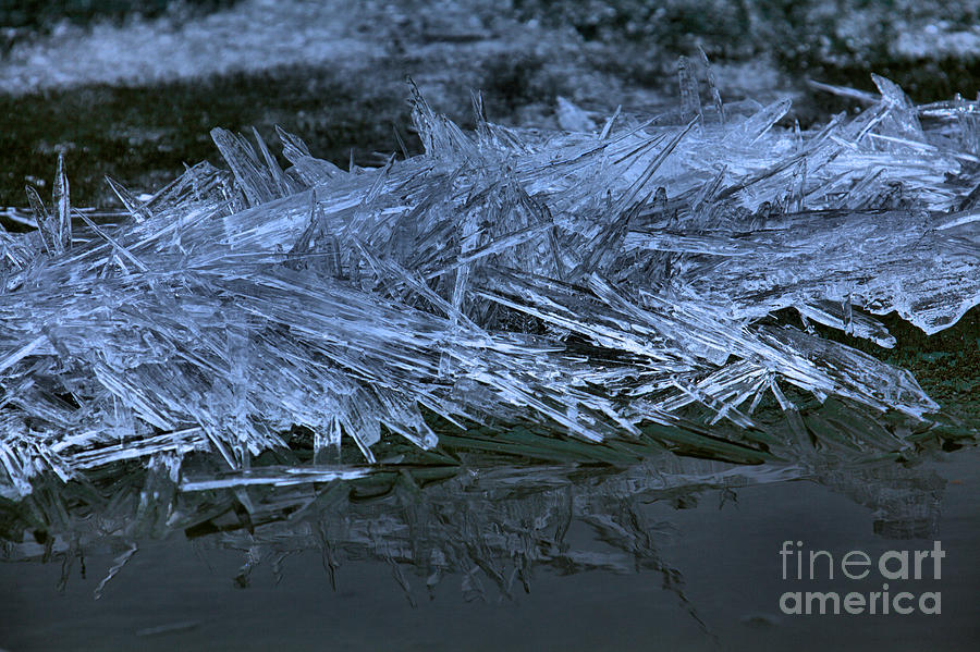 Bow Lake Morning Ice Crystals Photograph by Adam Jewell