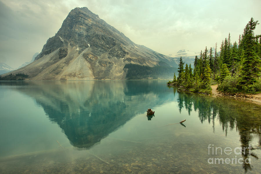 Bow Lake Shoreline Reflections Photograph by Adam Jewell