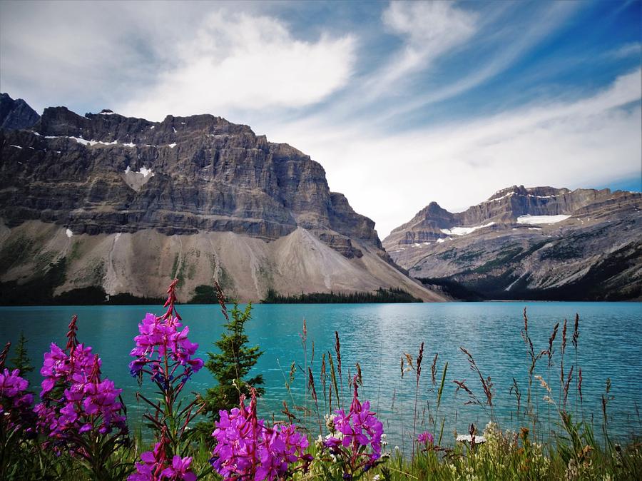 Bow Lake Banff National Park Alberta Canada Photograph By Tom And