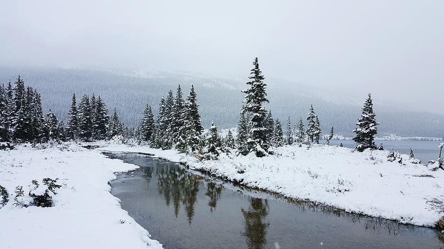 Bow Lake Winter Wonderland 02 Photograph by William Slider