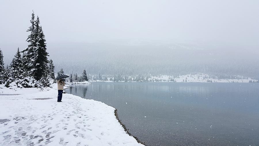 Bow Lake Winter Wonderland Photograph by William Slider