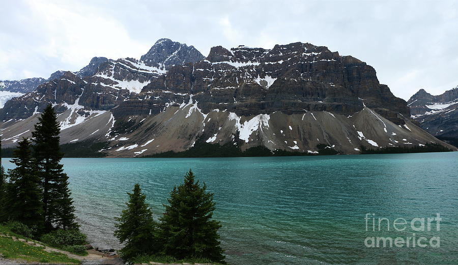 Bow Lake With Crowfoot Mountains Photograph by Christiane Schulze Art And Photography