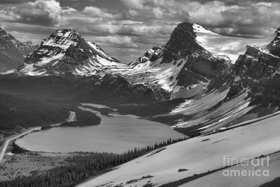 Bow Look Overlook Black And White Photograph by Adam Jewell
