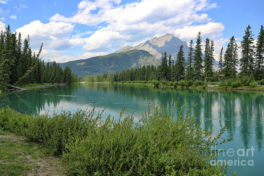 Banff National Park Photograph - Bow River in Banff by Carol Groenen