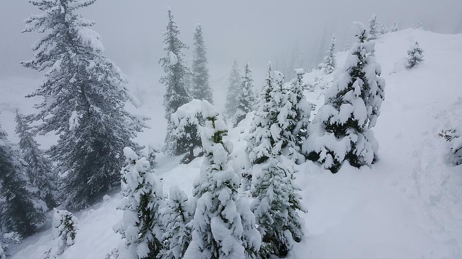 Bow Summit Winter Landscape 02 Photograph by William Slider