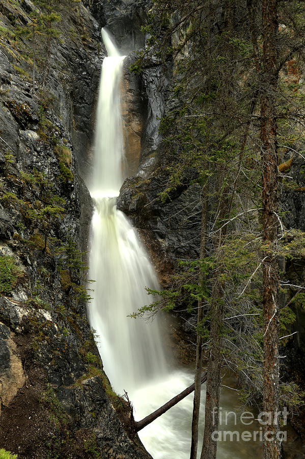 Bow Valley Silverton Falls Photograph by Adam Jewell