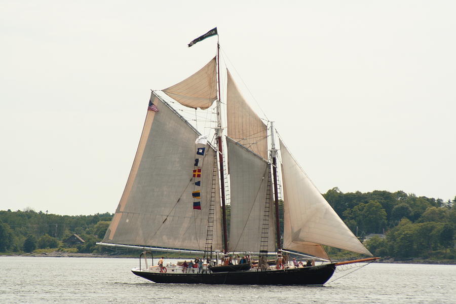 Bowditch At Rockland Photograph by Doug Mills