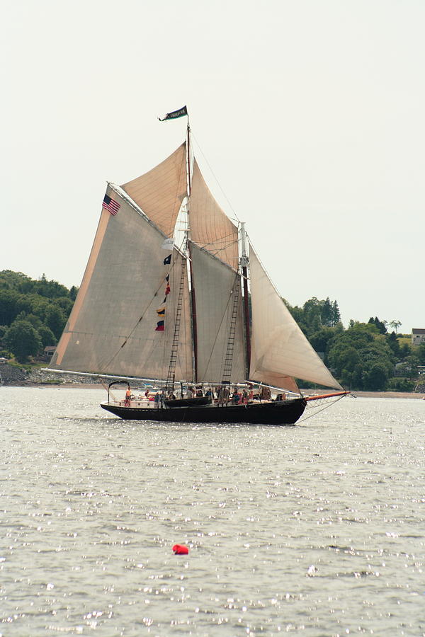 Bowditch Sails Into Rockland Photograph by Doug Mills