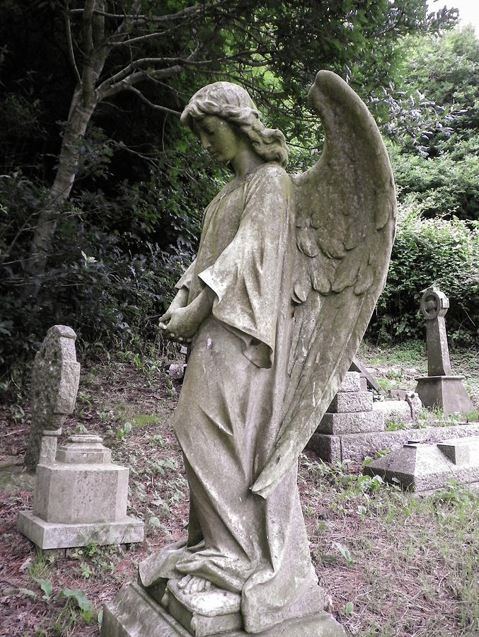 Bowed Angel Photograph by Richard Brookes