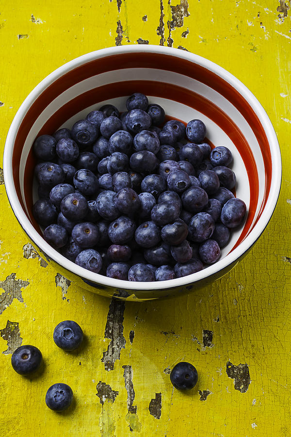 Bowl Full Of Blue Berries Photograph by Garry Gay