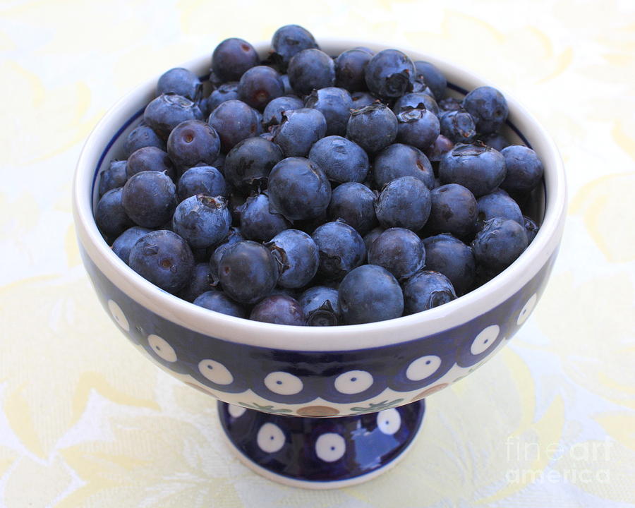 Blueberry Photograph - Bowl of Blueberries by Carol Groenen