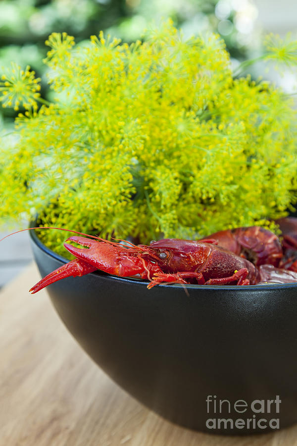 Bowl of crayfish and dill Photograph by Sophie McAulay