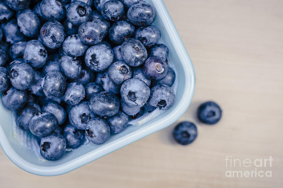 Bowl of Fresh Blueberries Photograph by Edward Fielding