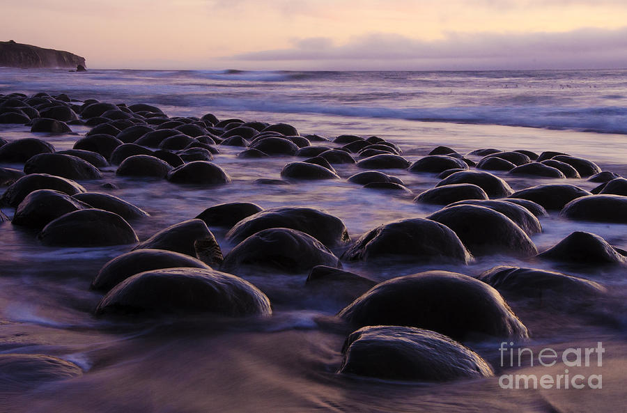 Sunset Photograph - Bowling Ball Beach California 2 by Bob Christopher