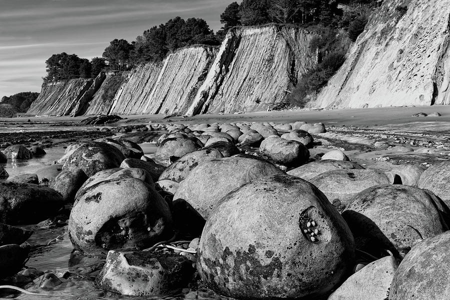 Bowling Ball Beach in Black and White Photograph by Kathleen Bishop