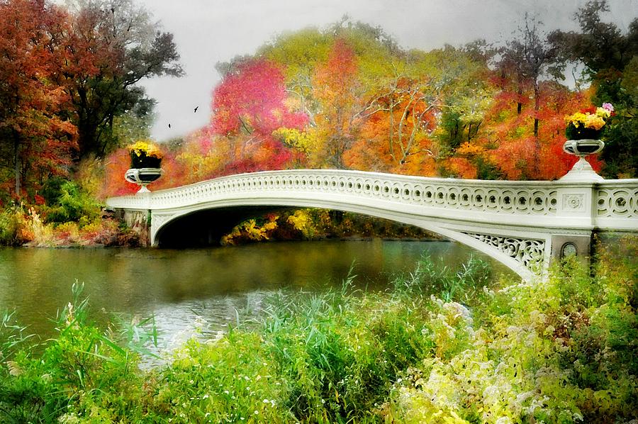 Bows Bridge Photograph by Diana Angstadt