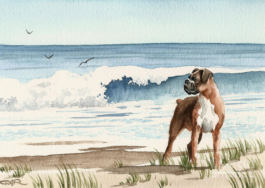 Dog Painting - Boxer At The Beach by David Rogers