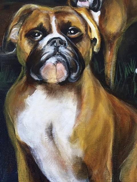 Dog Painting - Boxer Babe by C Stephenson-Gibbs