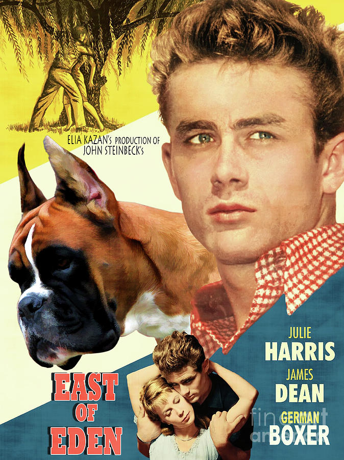 Boxer Dog Art Canvas Print - East Of Eden Movie Poster Painting by Sandra Sij
