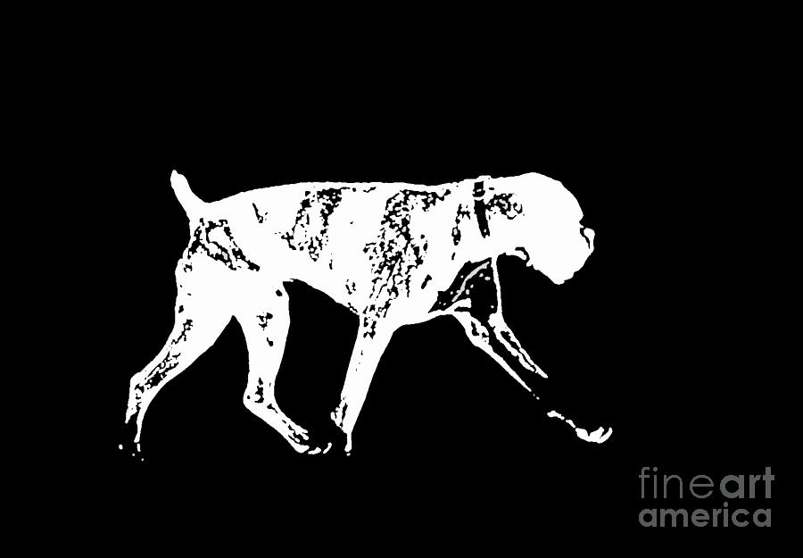 Boxer Dog Tee White Ink Digital Art by Edward Fielding