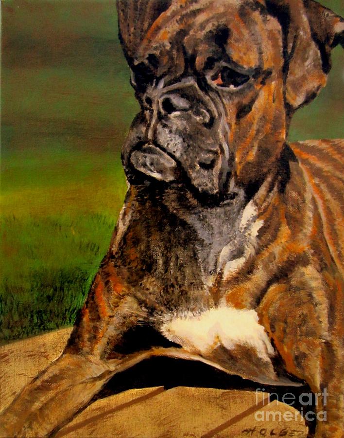 Dog Painting - Boxer by Holger Majorahn
