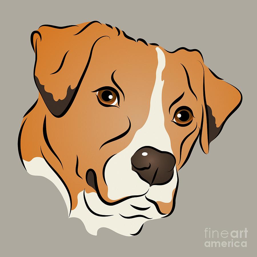 Boxer Mix Dog Graphic Portrait Digital Art by MM Anderson