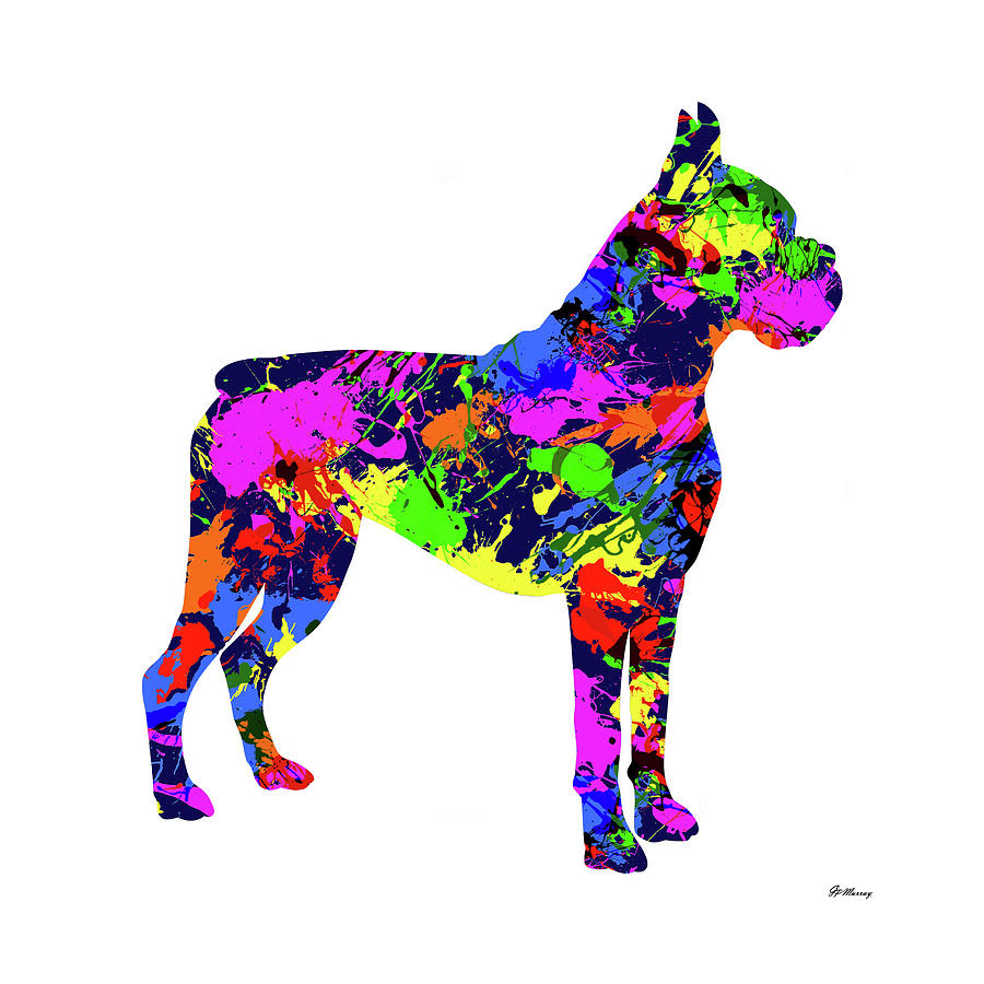 Boxer Paint Splatter Digital Art by Gregory Murray