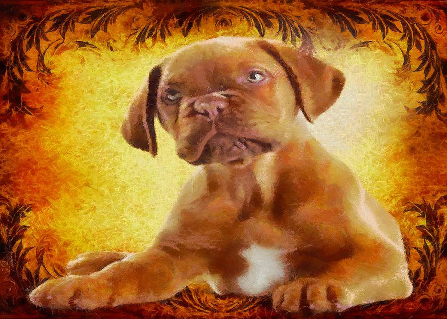 Boxer Puppy Digital Art by Charmaine Zoe