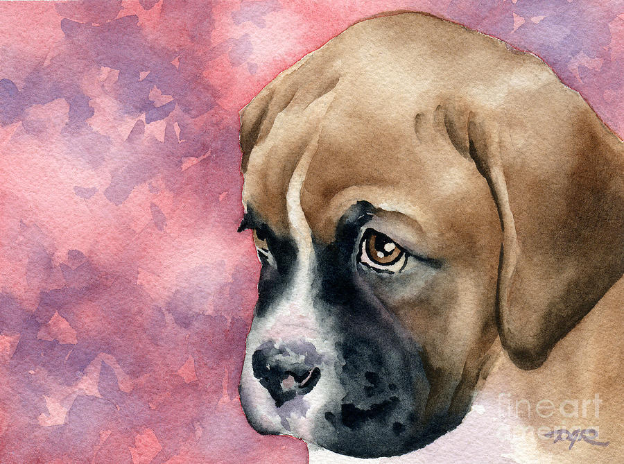 Boxer Puppy Painting by David Rogers photo