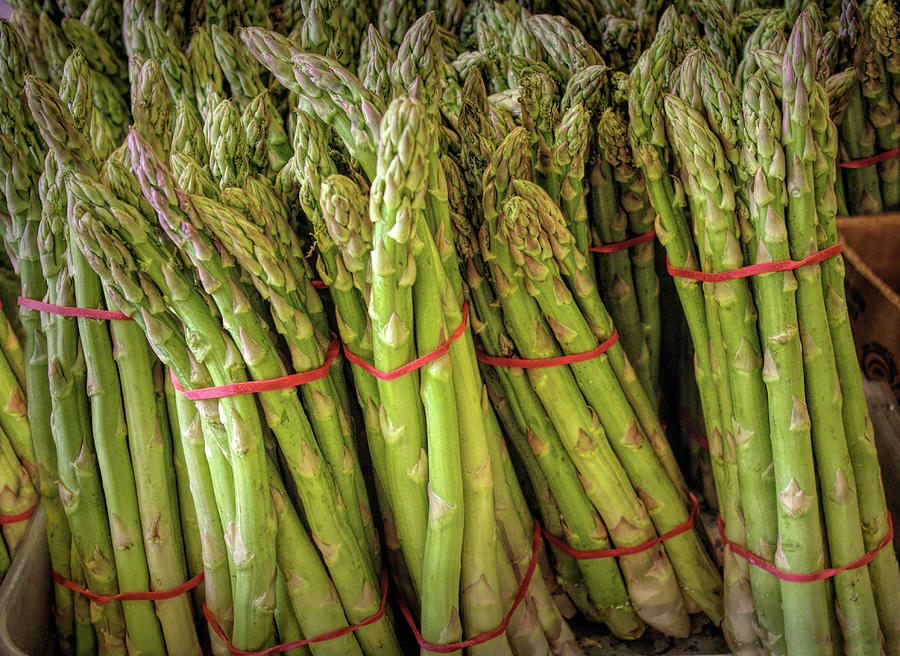 Boxes of Asparagus Photograph by Tom Reynen - Fine Art America