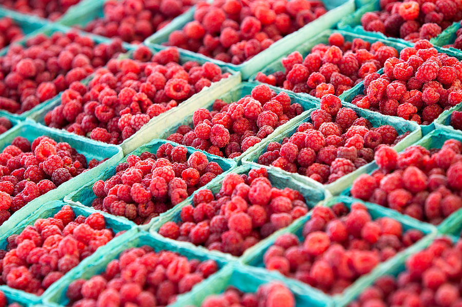 Boxes of Raspberries Photograph by Todd Klassy