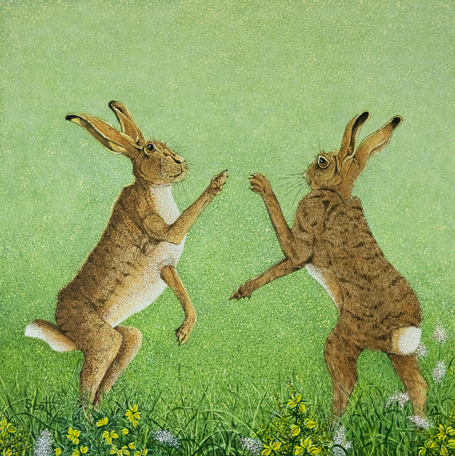 Rabbit Painting - Boxing Clever by Pat Scott