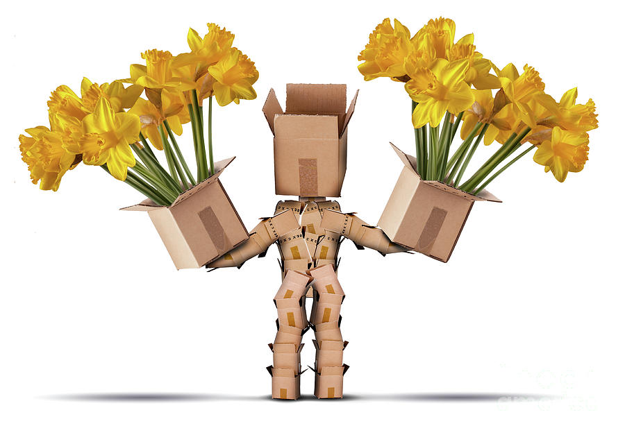 Box character holding two boxes of flower Photograph by Simon Bratt