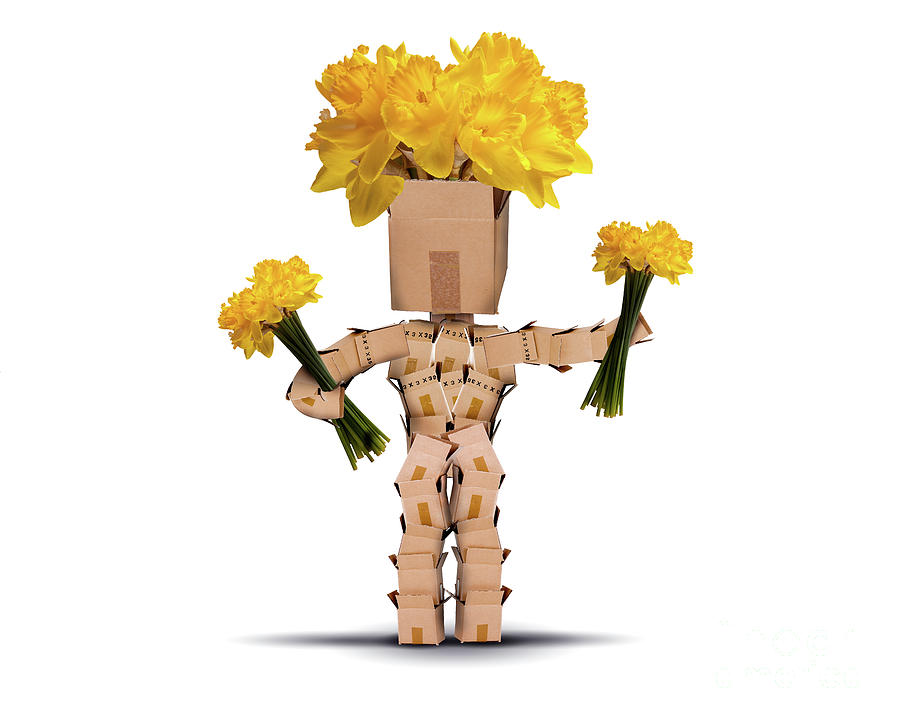 Box character holding bunches of daffodils Photograph by Simon Bratt