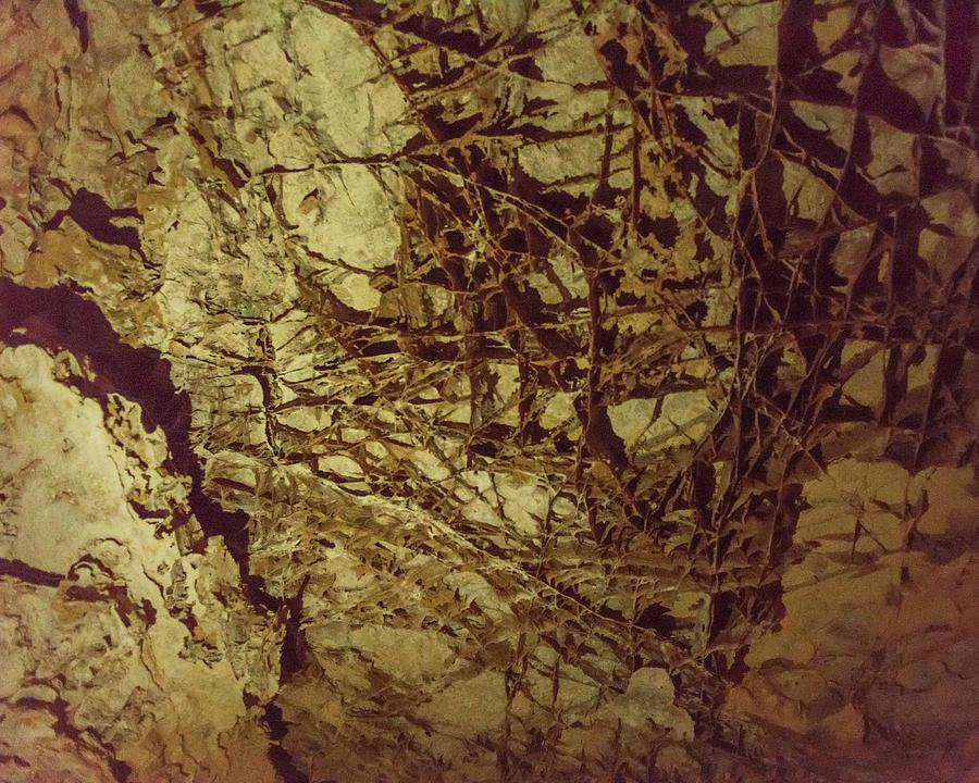 Boxwork Photograph - Boxwork in Wind Caves by Brenda Jacobs