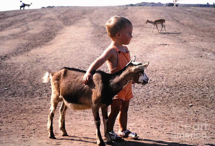 Boy And A Goat Photograph by Rosanne Licciardi