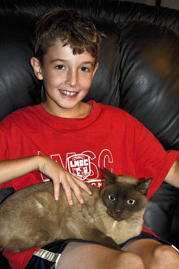Boy and Cat Photograph by Sally Weigand