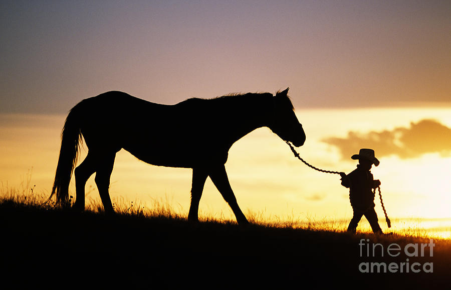 Boy and Horse Photograph by Ron Dahlquist - Printscapes