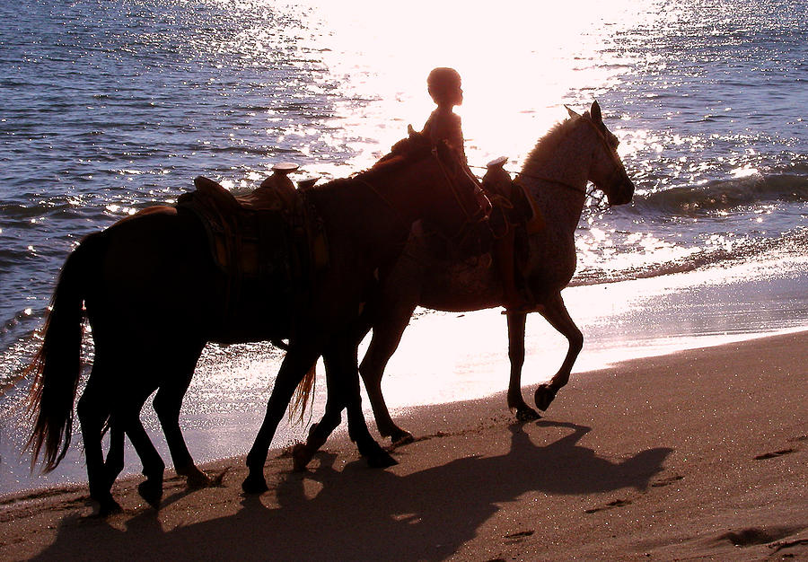 Boy and Horses in Cabo Photograph by Hector Romero | Fine Art America